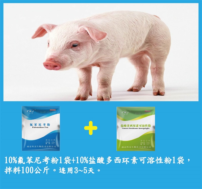 20171116095046255758.jpg 4.jpg