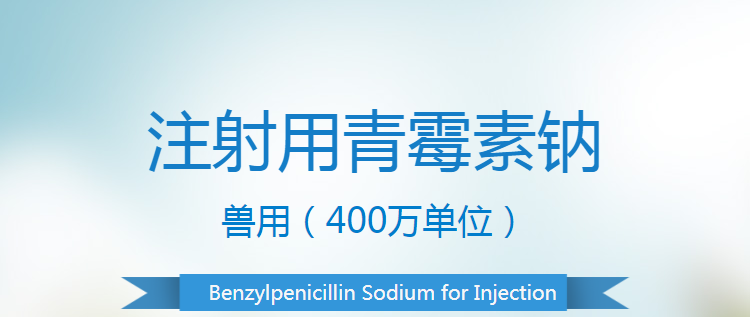 20134847855960.png 1.png