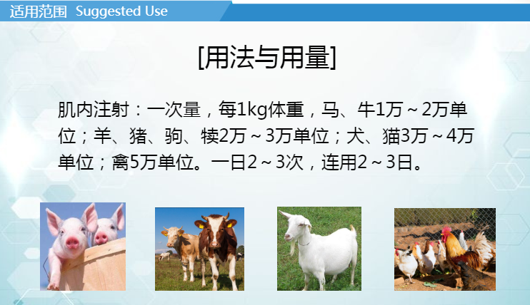 16142203165819.png 9.1.png