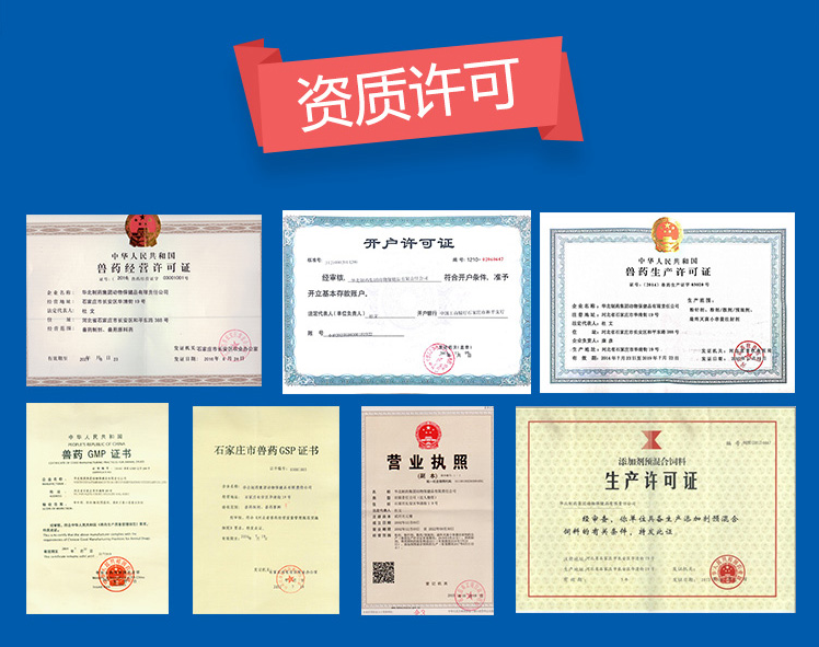 19145924508809.png 22083144250686.png